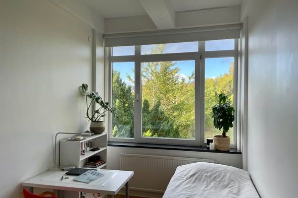 Stora Råby