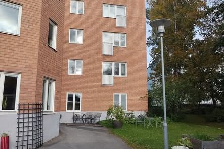 Bergviken