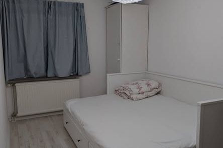 Vildanden, Lund
